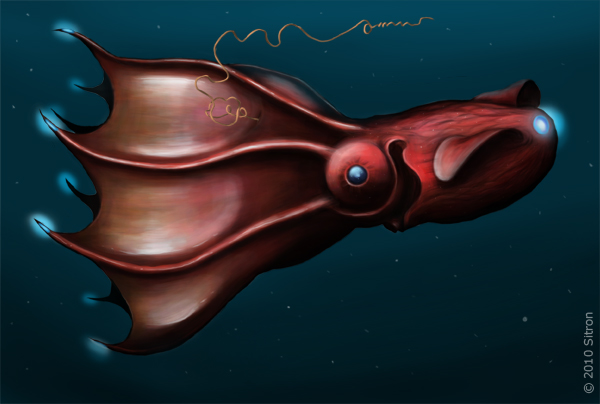 Vamp squid